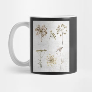 Queen Anns Lace dried flowers Mug